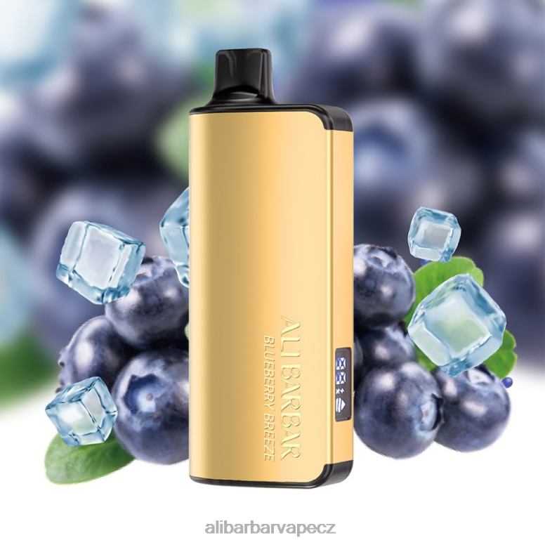Alibarbar Ingot 20 000 jednorázových vaků borůvkový vánek B62ZN32 - Alibarbar Vape Praha