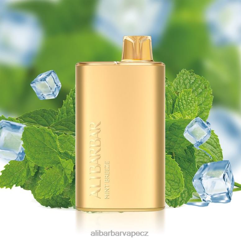 Alibarbar Rich 8000 jednorázových vapů mátový vánek B62ZN8 - Alibarbar Vape Nicotine